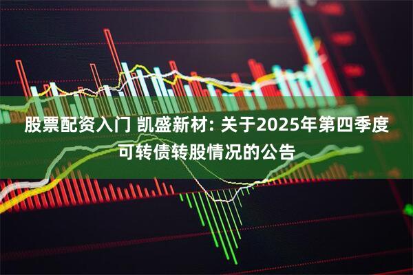 股票配资入门 凯盛新材: 关于2025年第四季度可转债转股情况的公告